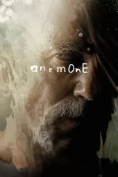 Anemone (2025) Streaming