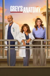 Grey's Anatomy 22 [18/18] ITA Streaming